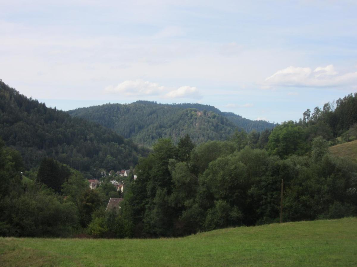 Ferienwohnungen Schwabenhof Schramberg Eksteriør bilde