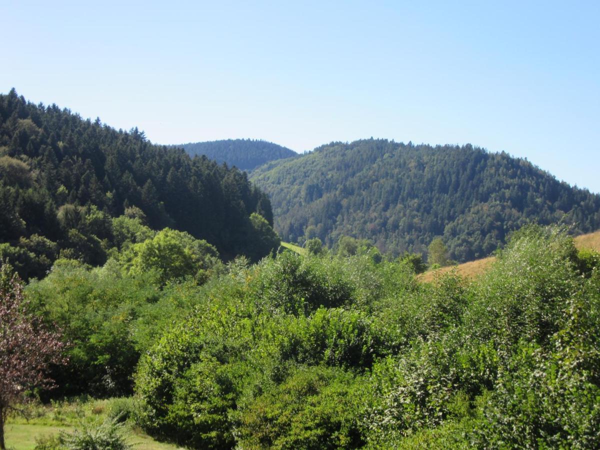 Ferienwohnungen Schwabenhof Schramberg Eksteriør bilde