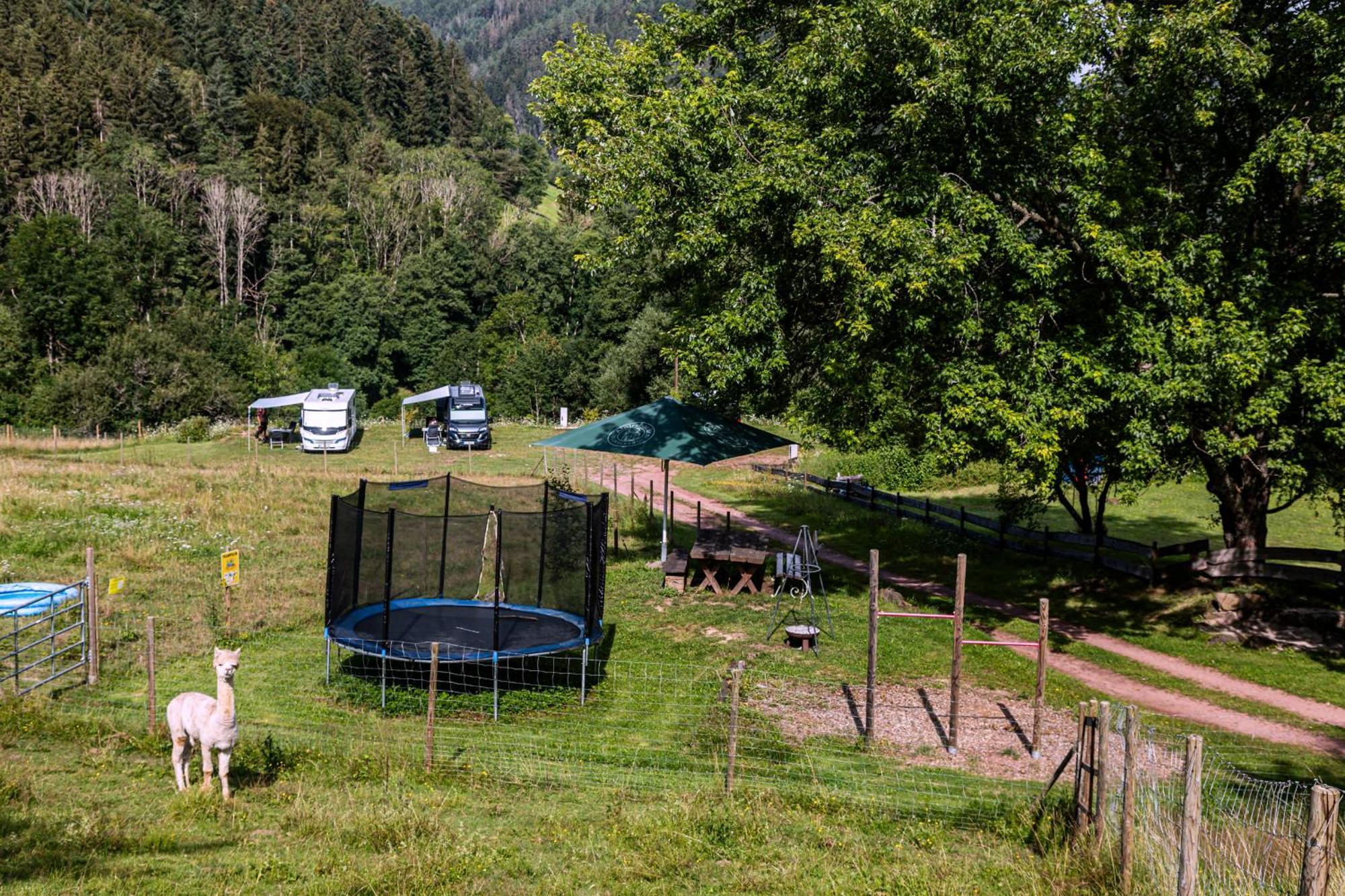 Ferienwohnungen Schwabenhof Schramberg Eksteriør bilde